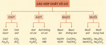 Hóa học 9 Bài 13: Luyện tập chương 1: Các loại hợp chất vô cơ – Giải bài tập SGK Hóa học 9 Bài 13