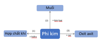 Hóa học 9 Bài 32: Luyện tập chương 3: Phi kim – Sơ lược về bảng tuần hoàn các nguyên tố hóa học – Giải bài tập SGK Hóa học 9 Bài 32