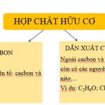 Hóa học 9 Bài 34: Khái niệm về hợp chất hữu cơ và hóa học hữu cơ – Giải bài tập SGK Hóa học 9 Bài 34