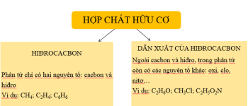 Hóa học 9 Bài 34: Khái niệm về hợp chất hữu cơ và hóa học hữu cơ – Giải bài tập SGK Hóa học 9 Bài 34