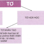 Hóa học 9 Bài 54: Polime – Giải bài tập SGK Hóa học 9 Bài 54