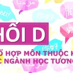 Học khối D làm nghề gì? Các ngành nghề hot khối D