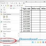 Hướng dẫn thêm đường chéo trong ô trên Excel