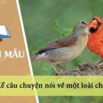 Kể câu chuyện nói về một loài chim