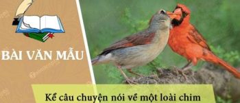 Kể câu chuyện nói về một loài chim