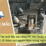 Kể lại một lần em cùng bố, mẹ (hoặc anh, chị) đi thăm mộ người thân trong ngày lễ, tết