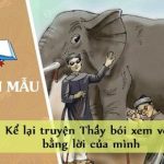 Kể lại truyện Thầy bói xem voi bằng lời của mình