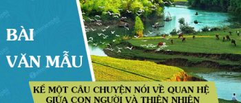 Kể một câu chuyện em đã được nghe hay được đọc nói về quan hệ giữa con người và thiên nhiên