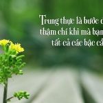 Kể một câu chuyện về lòng trung thực lớp 9 ngắn gọn, hay nhất (10 Mẫu)