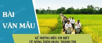 Kể những điều em biết về nông thôn hoặc thành thị