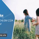 Kể về anh chị em của em