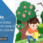 Kể về hoạt động chăm sóc cây xanh ở trường học của em