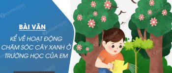 Kể về hoạt động chăm sóc cây xanh ở trường học của em