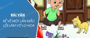 Kể về một lần mắc lỗi làm vỡ lọ hoa