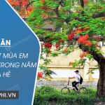 Kể về một mùa em thích nhất trong năm – Mùa hè