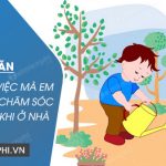 Kể về một việc mà em đã làm để chăm sóc cây xanh khi ở nhà