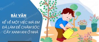 Kể về một việc mà em đã làm để chăm sóc cây xanh khi ở nhà