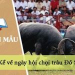 Kể về ngày hội chọi trâu Đồ Sơn