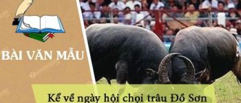 Kể về ngày hội chọi trâu Đồ Sơn