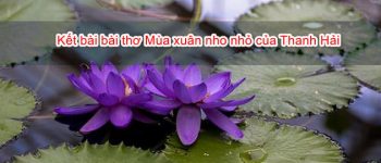 Kết bài bài thơ Mùa xuân nho nhỏ của Thanh Hải