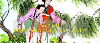 Kết bài đoạn trích Cảnh ngày xuân