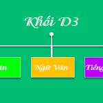 Khối D03 là gì? Gồm những môn nào, xét ngành nào, trường nào?