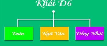 Khối D06 là gì? Gồm những môn nào, xét ngành nào, trường nào?