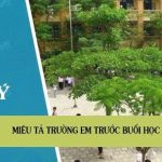 Lập dàn ý miêu tả trường em trước buổi học