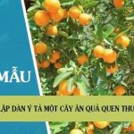 Lập dàn ý tả một cây ăn quả quen thuộc