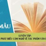 Luyện tập: Phát biểu cảm nghĩ về tác phẩm văn học