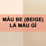 Màu be là màu gì? Ứng dụng của màu be