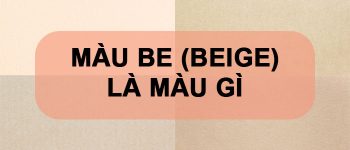 Màu be là màu gì? Ứng dụng của màu be