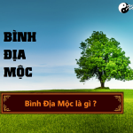 Mệnh Bình Địa Mộc nghĩa là gì? Sinh năm bao nhiêu?