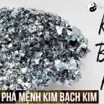 Mệnh Kim Bạch Kim là gì? Sinh năm bao nhiêu?