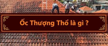 Mệnh Ốc Thượng Thổ nghĩa là gì? Sinh năm bao nhiêu?