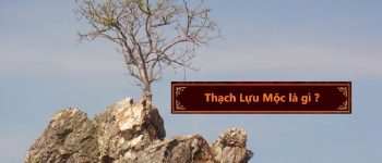 Mệnh Thạch Lựu Mộc có nghĩa là gì? Sinh năm bao nhiêu?