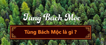 Mệnh Tùng Bách Mộc nghĩa là gì? Sinh năm bao nhiêu?