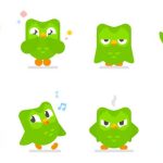 Mẹo dùng Duolingo để học ngôn ngữ hiệu quả