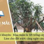 Mùa xuân là Tết trồng cây, Làm cho đất nước càng ngày càng xuân. Bác Hồ muốn khuyên dạy chúng ta điều gì qua hai dòng thơ này