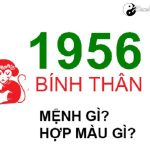 Năm 1956 là năm con gì? Sinh năm 1956 là mệnh gì? Tuổi gì?