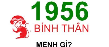 Năm 1956 là năm con gì? Sinh năm 1956 là mệnh gì? Tuổi gì?