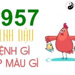 Năm 1957 là năm con gì? Sinh năm 1957 là mệnh gì? Tuổi gì?