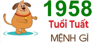 Năm 1958 là năm con gì? Sinh năm 1958 là mệnh gì? Tuổi gì?