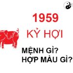 Năm 1959 là năm con gì? Sinh năm 1959 là mệnh gì? Tuổi gì?