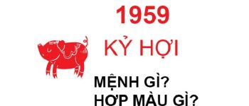 Năm 1959 là năm con gì? Sinh năm 1959 là mệnh gì? Tuổi gì?