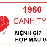 Năm 1960 là năm con gì? Sinh năm 1960 là mệnh gì? Tuổi gì ? Tử vi sinh năm 1960