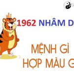 Năm 1962 là năm con gì? Sinh năm 1962 là mệnh gì? Tuổi gì?