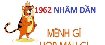 Năm 1962 là năm con gì? Sinh năm 1962 là mệnh gì? Tuổi gì?