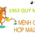 Năm 1963 là năm con gì? Sinh năm 1963 là mệnh gì? Tuổi gì?