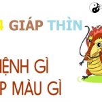 Năm 1964 là năm con gì? Sinh năm 1964 là mệnh gì? Tuổi gì?